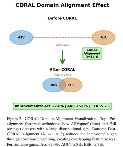 CORAL domain alignment effect, before and after